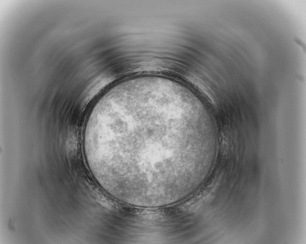 X0000095890874200801251200