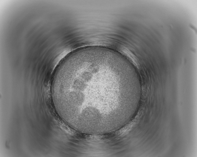 X0000095890875200801251200