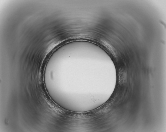 X0000095890876200801251200