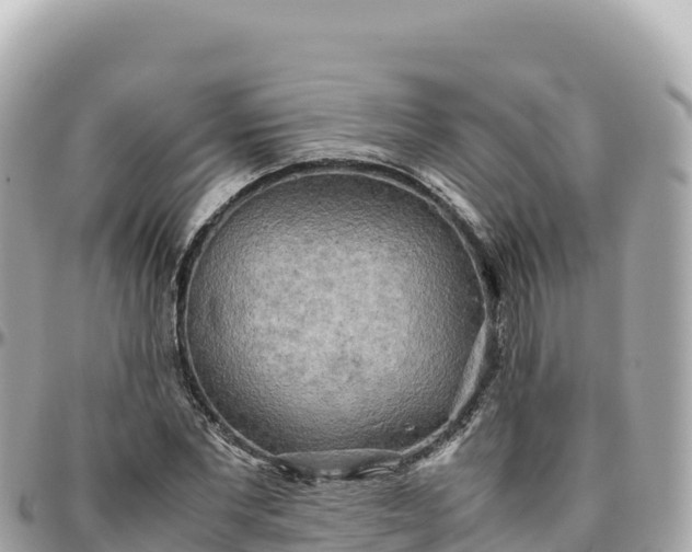 X0000095890877200801251200