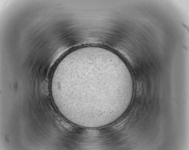 X0000095890878200801251200