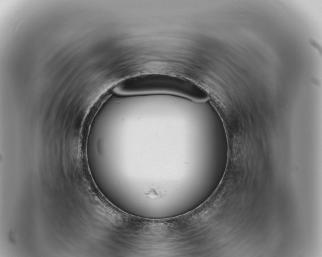 X0000095890880200801251200