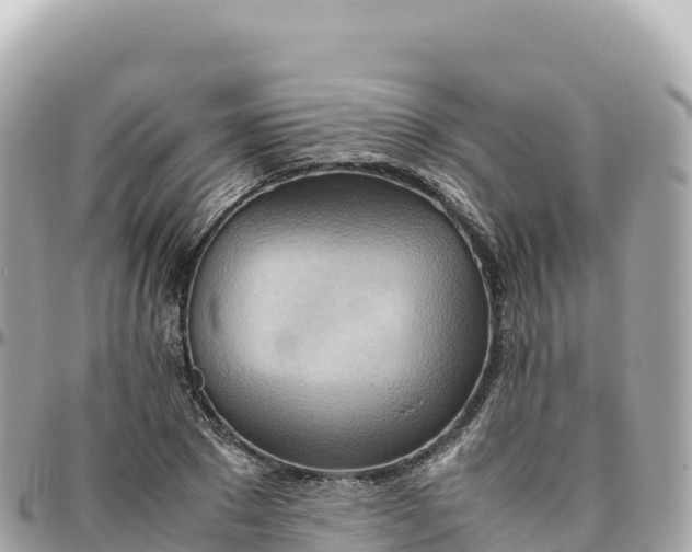 X0000095890881200801251200