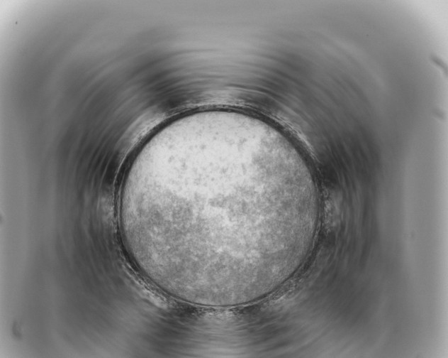 X0000095890882200801251200