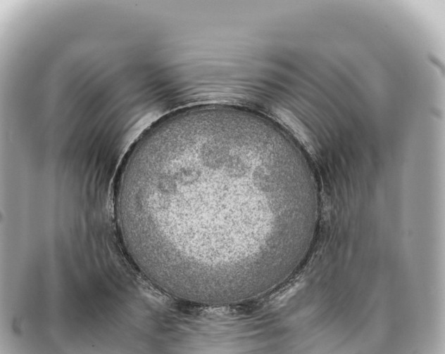 X0000095890883200801251200