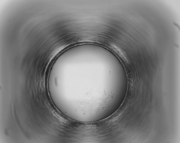 X0000095890884200801251200