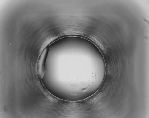 X0000095890885200801251200