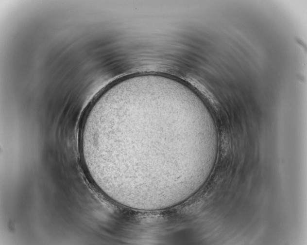 X0000095890886200801251200