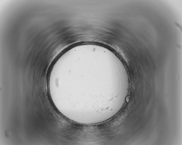 X0000095890887200801251200