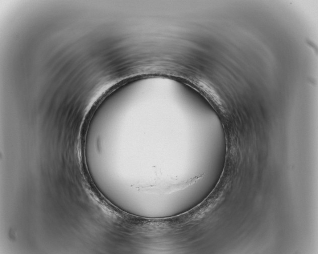 X0000095890888200801251200