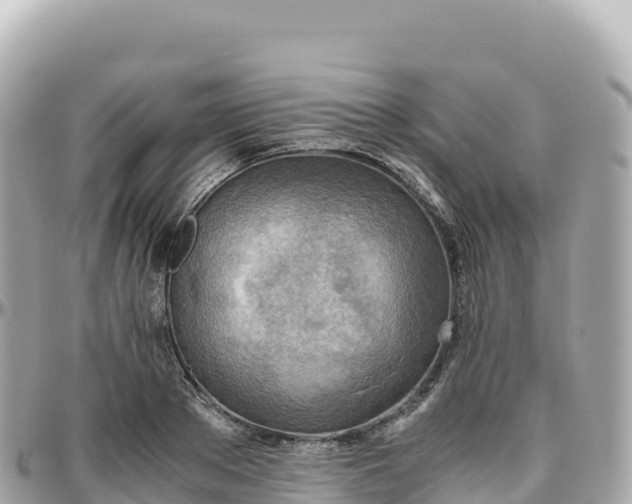 X0000095890889200801251200