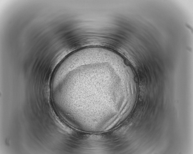 X0000095890890200801251200