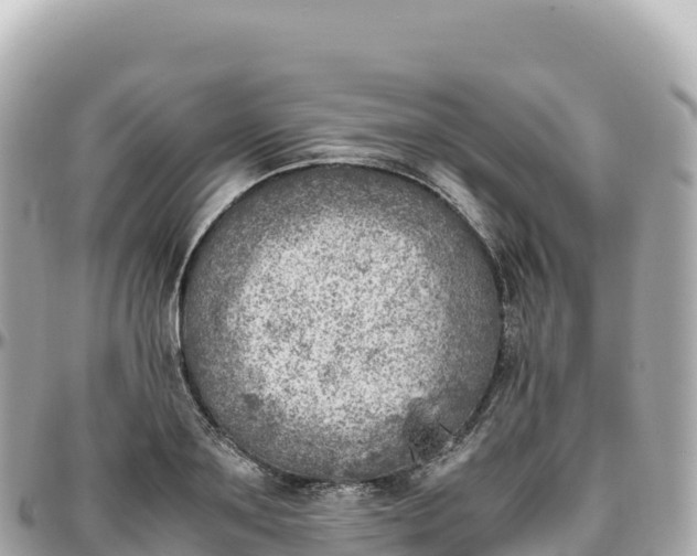 X0000095890891200801251200