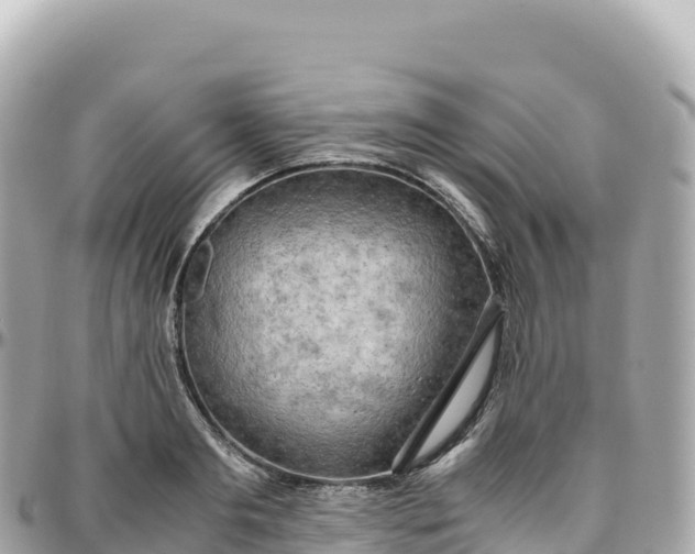 X0000095890893200801251200