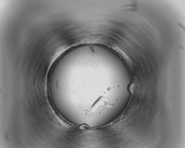 X0000095890894200801251200