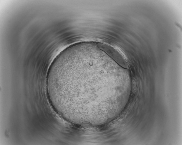 X0000095890895200801251200