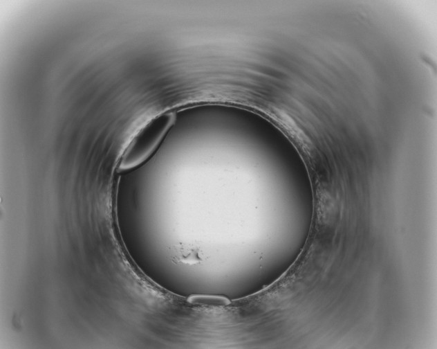 X0000095890896200801251200