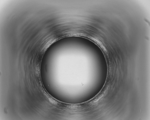 X0000095890897200801251159