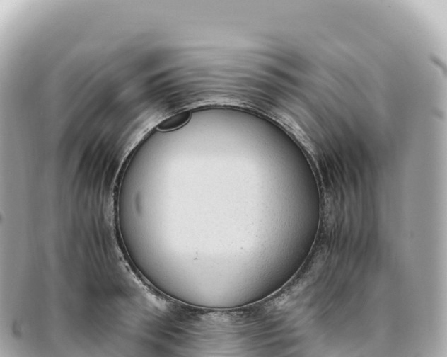 X0000095890898200801251159