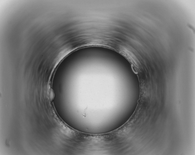 X0000095890900200801251159