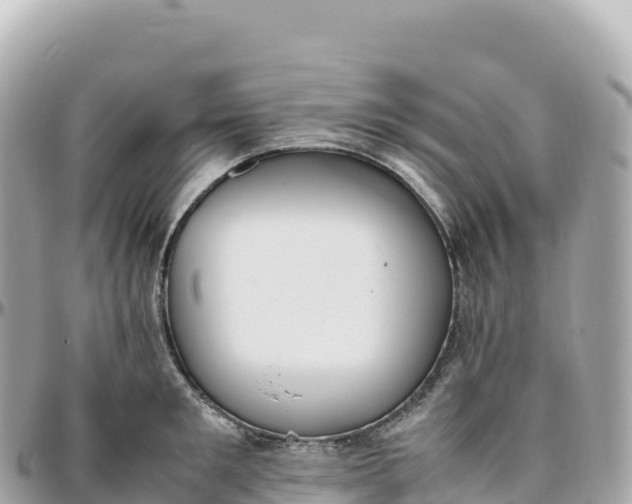 X0000095890901200801251159