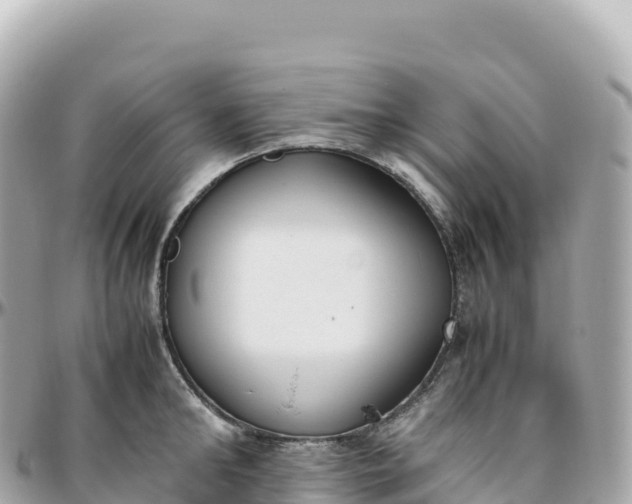 X0000095890902200801251159