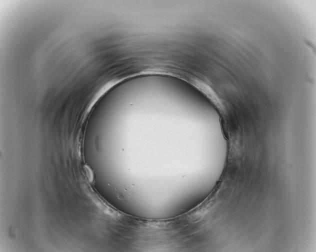 X0000095890908200801251159