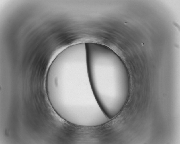 X0000095890912200801251159