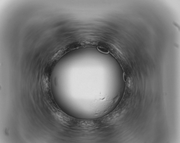 X0000095890915200801251159