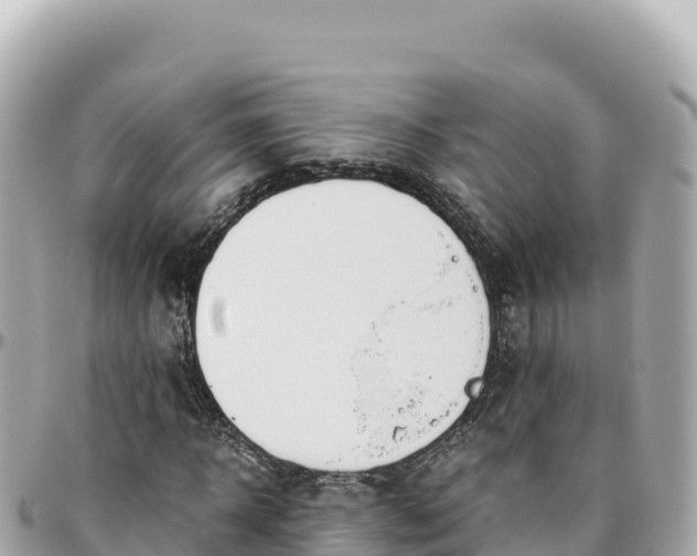X0000095890918200801251159