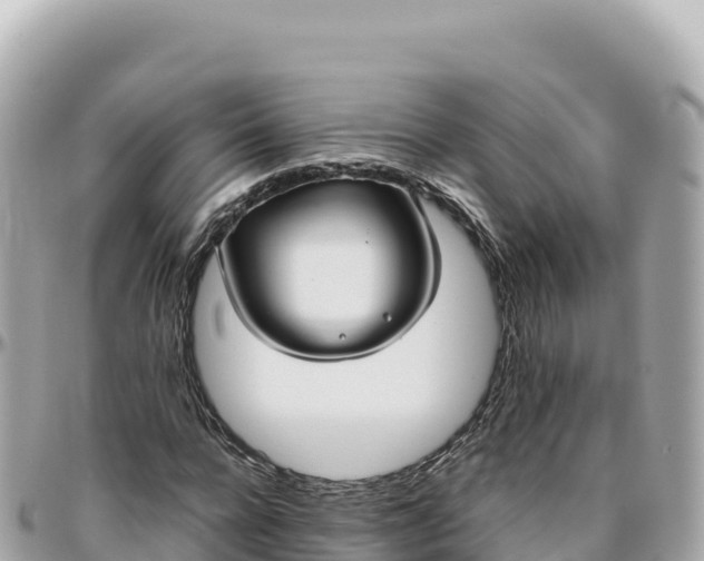X0000095890920200801251159
