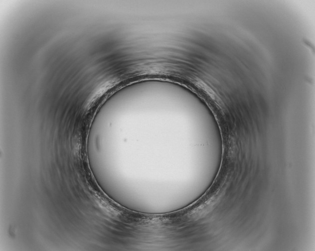 X0000095890922200801251159