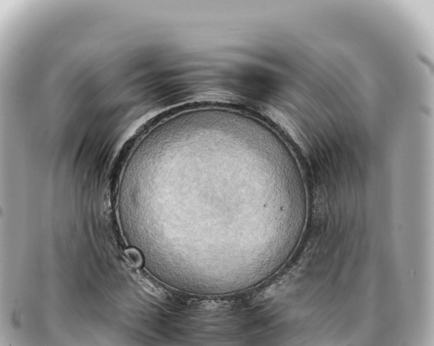 X0000095890923200801251159