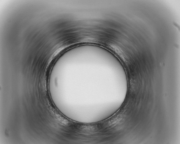 X0000095890931200801251159
