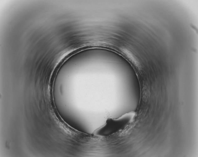 X0000095890932200801251159