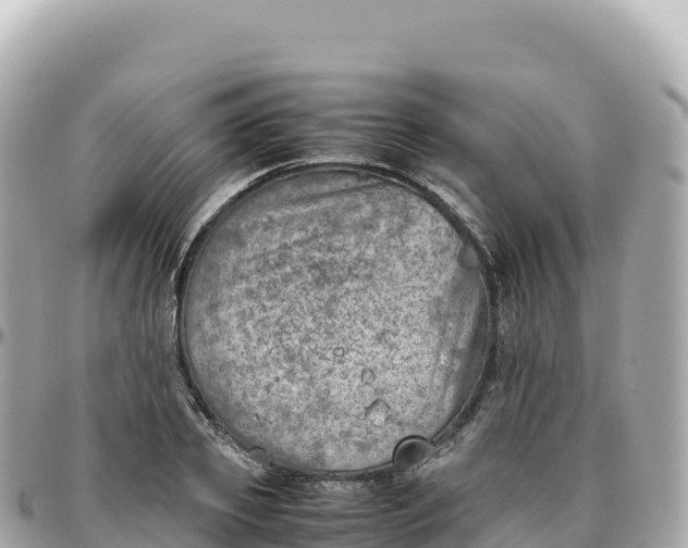 X0000095890933200801251159