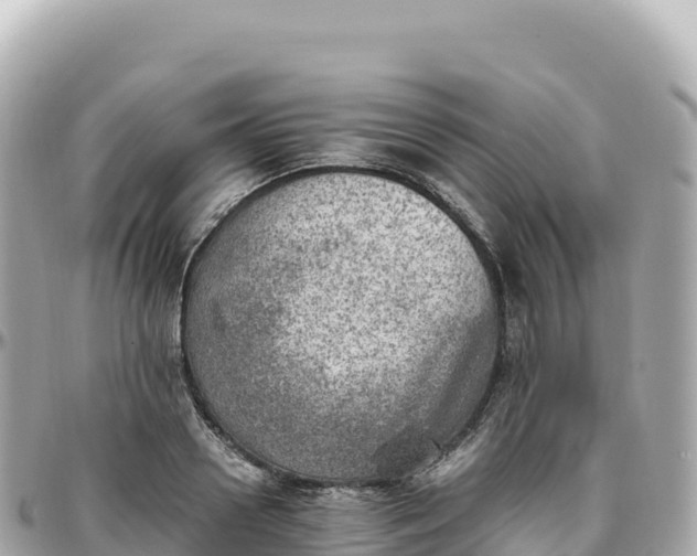 X0000095890938200801251159