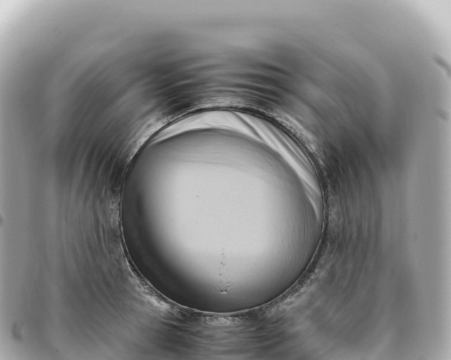 X0000095890945200801251159