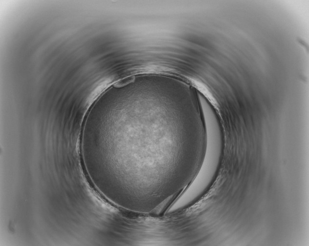 X0000095890946200801251159