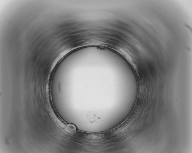 X0000095890947200801251159