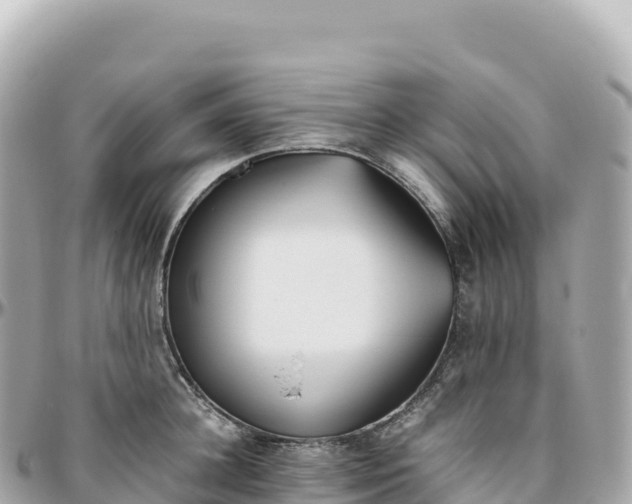 X0000095890948200801251159