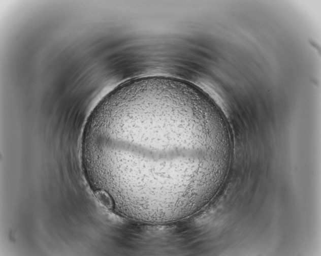 X0000095890949200801251159