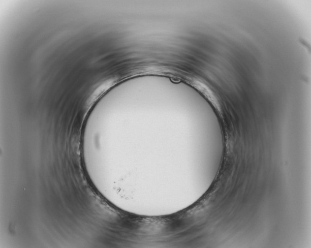 X0000095890954200801251159