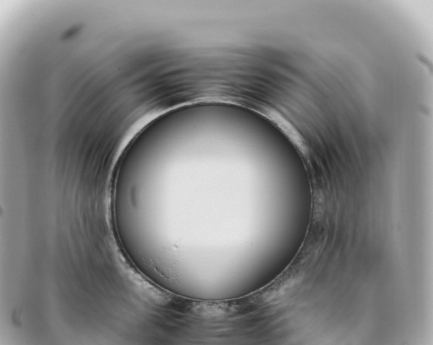 X0000095890955200801251159