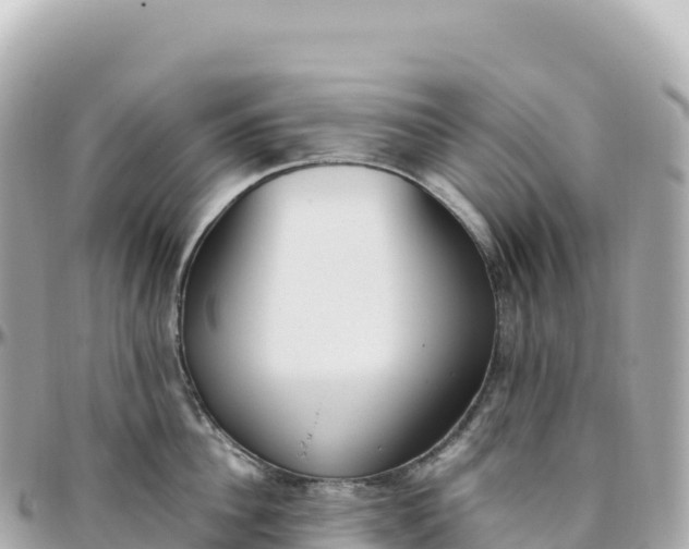 X0000095890956200801251159