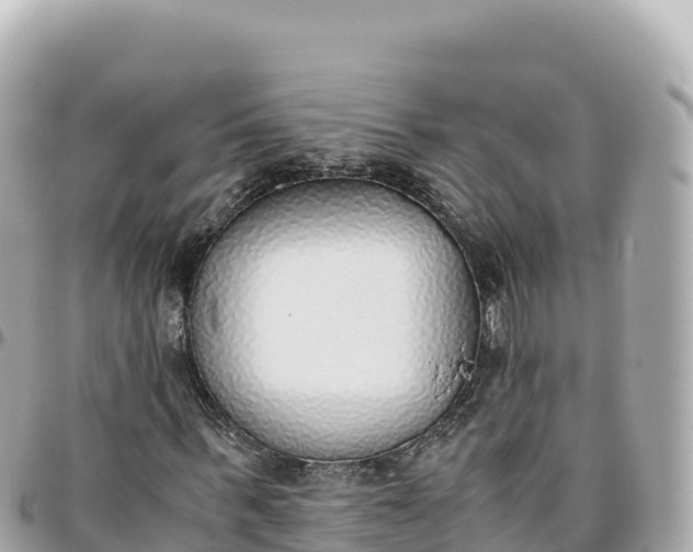 X0000095890963200801251159