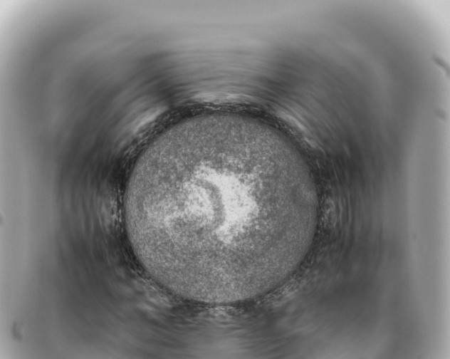 X0000095890966200801251159
