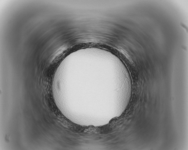 X0000095890967200801251159