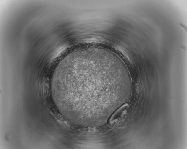 X0000095890968200801251159