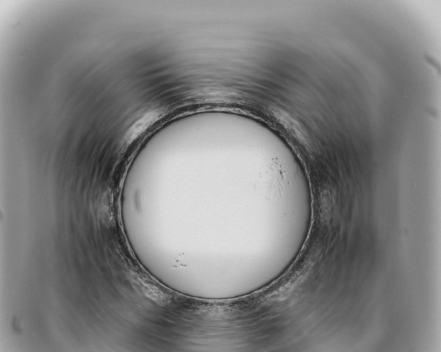 X0000095890970200801251159